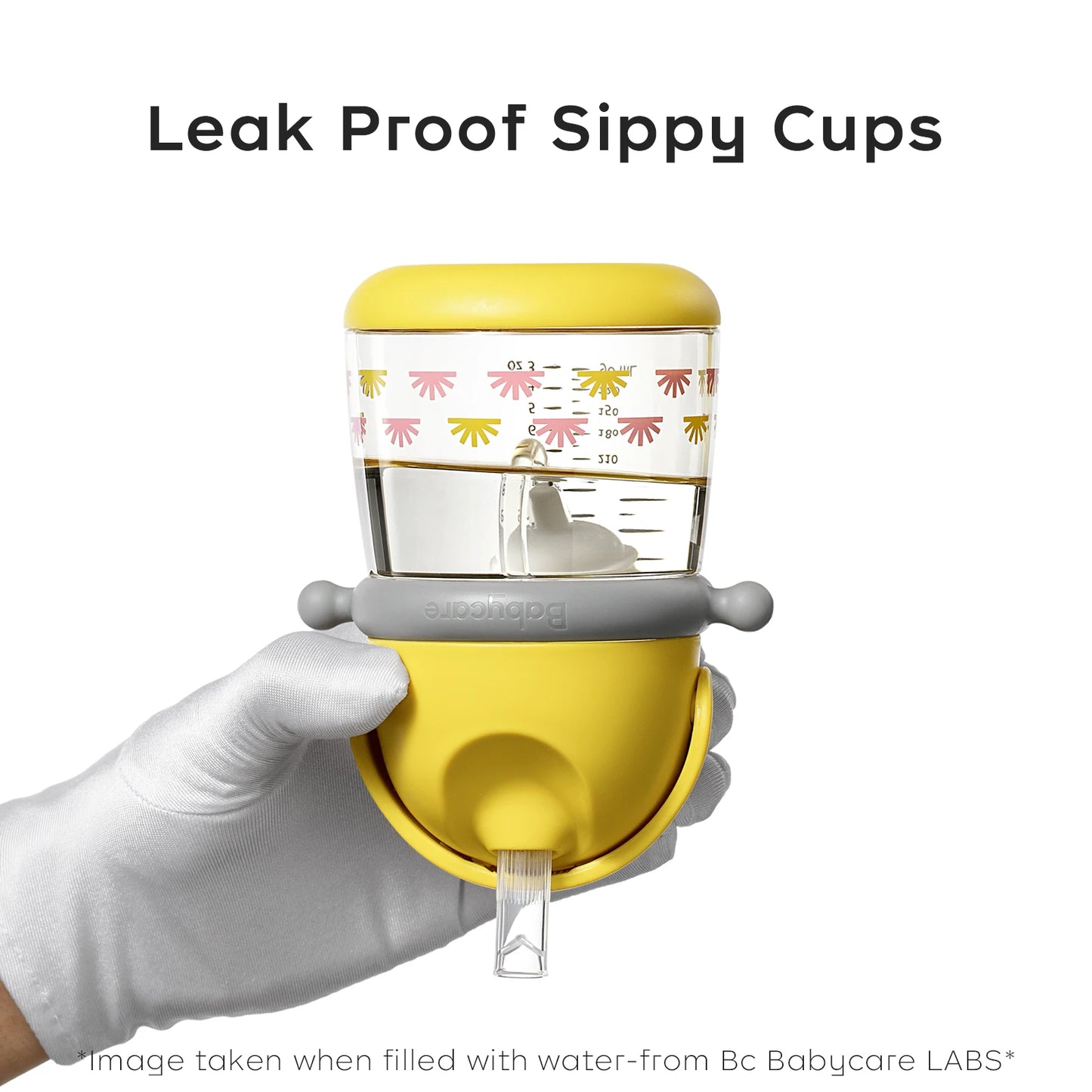 Leakproof Dinosaur Sippy Cup, Training Cup for Kids - Your Precious Package